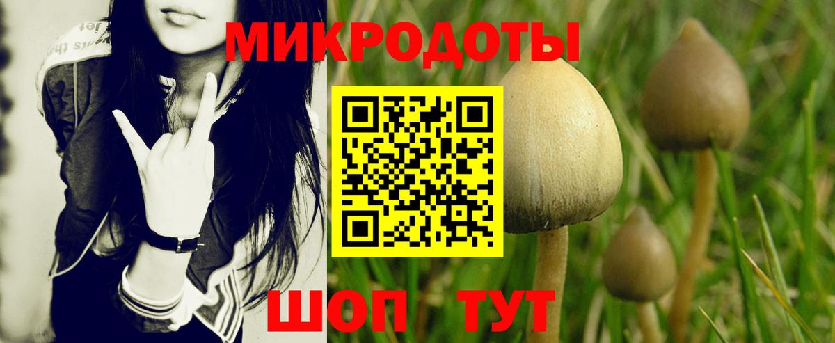 Псилоцибиновые грибы мицелий Нурлат