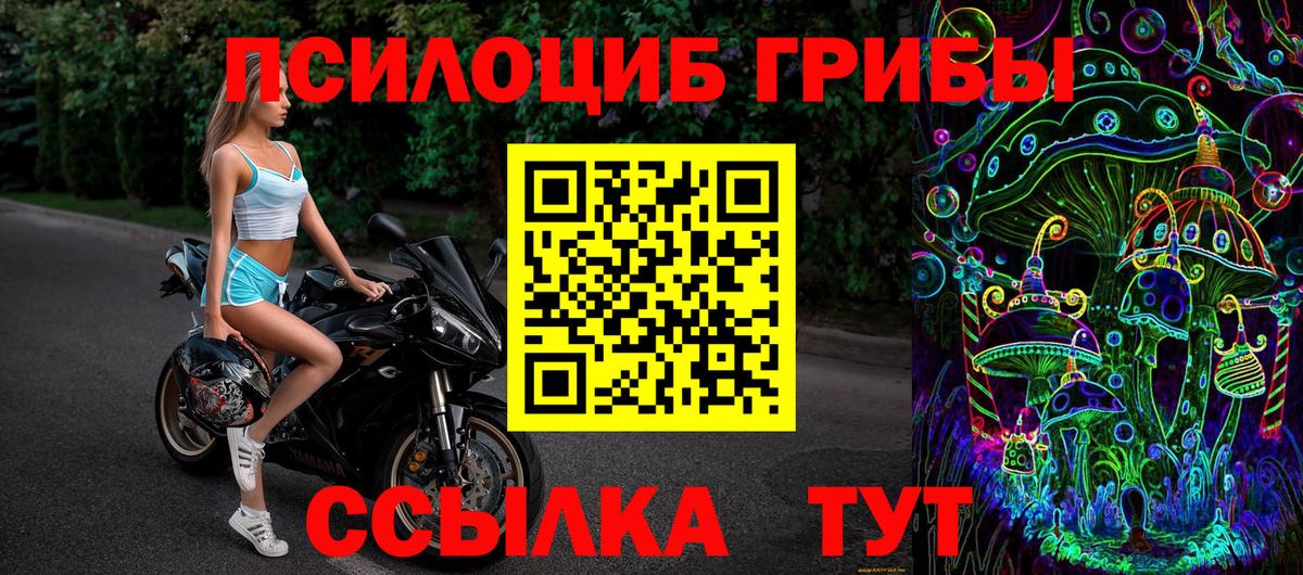 Нурлат  Галлюциногенные грибы Cubensis  Вход с VPN 